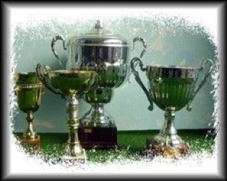 Fabrizio Giorgieri : my story